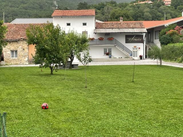 Appartamento Kmetija Tomazic Vinska Klet - Winery Vipava Esterno foto