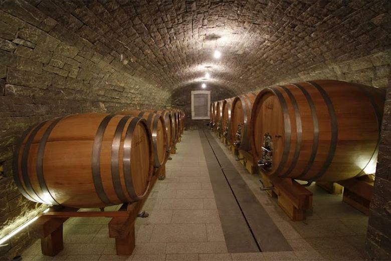 Appartamento Kmetija Tomazic Vinska Klet - Winery Vipava Esterno foto