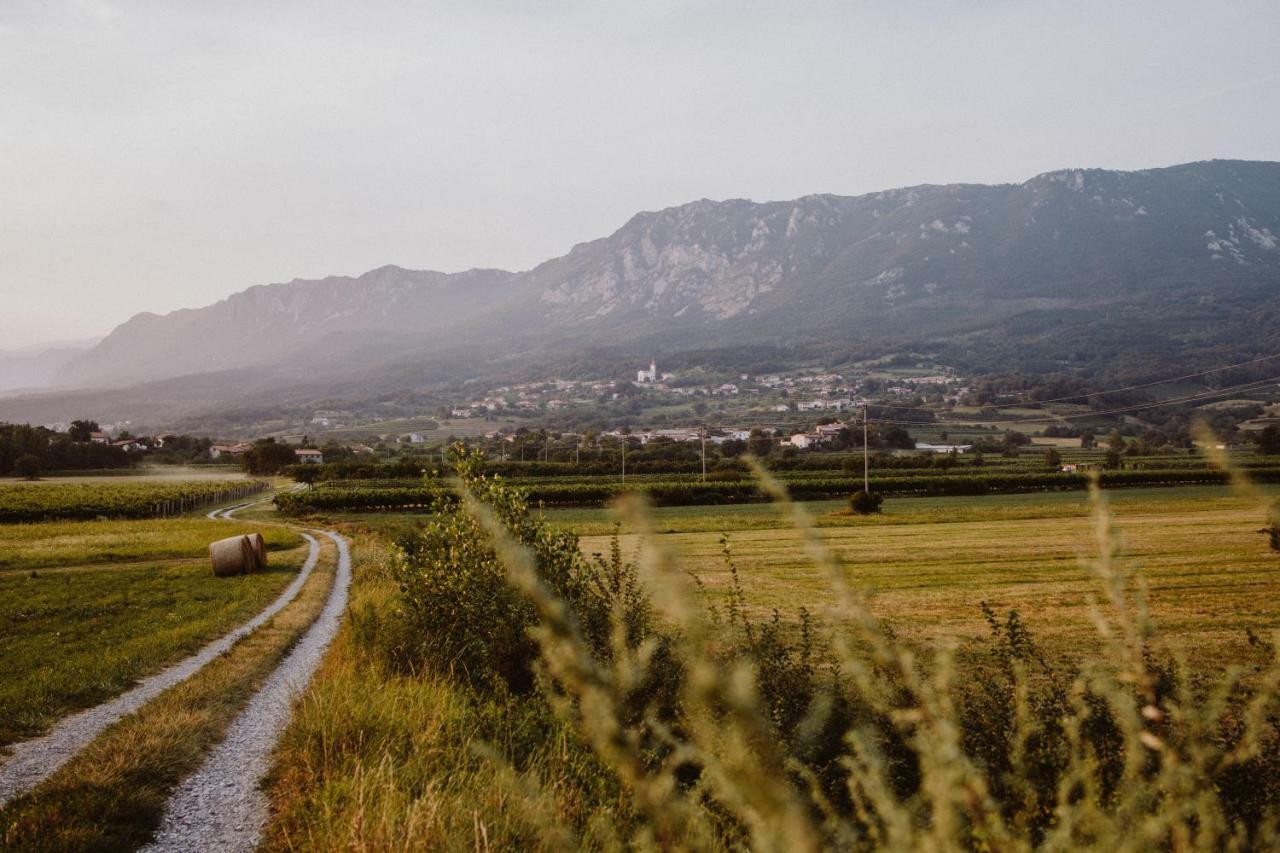 Appartamento Kmetija Tomazic Vinska Klet - Winery Vipava Esterno foto